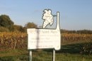 Vignes nantaises